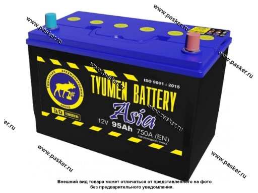 Фото: Аккумулятор Тюмень Asia 95Ач EN750 300х172х220