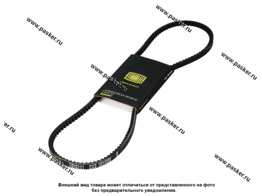 Фото: Ремень клиновой TRIALLI AVX10X1050