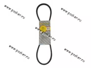 Ремень генератора Москвич BAUTLER зубчатый AVX 10*875La BTL-0412BAV|Код 15776