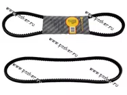 Ремень генератора Газель AVX10x900 BAUTLER зубчатый BTL-0900BAV|Код 16571