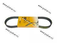 Ремень генератора 2108-099,2113-15,2110-12 CONTITECH инж. 8-ми кл. 6РК698|Код 23923