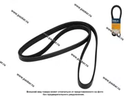 Ремень генератора 2123 Chevy Niva HOLA 5PK1885 PH5885|Код 2415