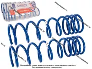Пружина подвески 2102 04 ФОБОС задняя переменный шаг 78608 [упаковка 2 шт.]|Код 25586