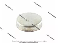 Заглушка блока цилиндров 2108-09 Vesta, XRAY d36|Код 29831