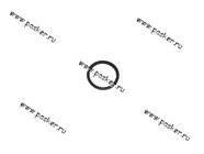 Кольцо уплотнительное Волга Газель термостата [упаковка 10 шт.]|Код 31428