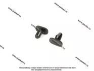 Пистон LADA Vesta Renoult Peugeot Citroen уплотнителя порогов [упаковка 10 шт.]|Код 33182