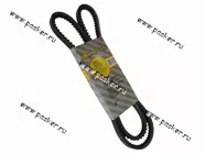 Ремень генератора ГАЗ 66,ПАЗ 3302 BAUTLER зубчатый AVX 11*1745 BTL-1745BAV|Код 37602