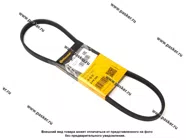 Ремень поликлиновой 4PK855 CONTITECH|Код 42924