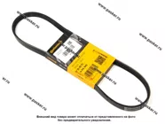 Ремень поликлиновой 4PK845 CONTITECH|Код 42936