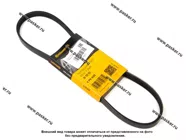 Ремень поликлиновой 4PK830 CONTITECH|Код 42951