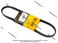 Ремень поликлиновой 4PK815 CONTITECH|Код 43005