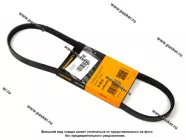 Ремень поликлиновой 4PK810 CONTITECH|Код 43008