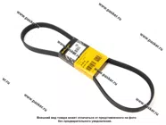 Ремень поликлиновой 6PK1100 CONTITECH|Код 43104