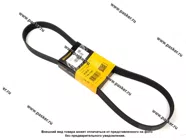 Ремень поликлиновой 7PK1125 CONTITECH|Код 43223