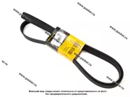 Ремень поликлиновой 7PK2120 CONTITECH|Код 43324