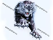 Наклейка Барс 16х11см [упаковка 10 шт.]|Код 43423