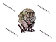 Наклейка Волк Wild 33,5х23,5см|Код 43427