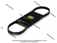 Ремень генератора 2123 Chevy Niva TRIALLI с A/C 4PK810|Код 46145