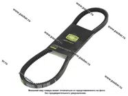 Ремень генератора Газель Бизнес TRIALLI УМЗ4216 зубчатый AVX13X900|Код 52353