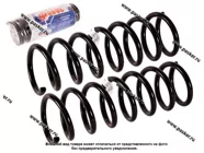 Пружина подвески Ford Focus C-Max 1,6-2,0 ФОБОС задняя 03-07 53223 [упаковка 2 шт.]|Код 59294