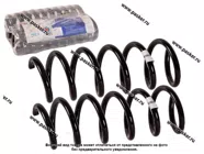 Пружина подвески LADA XRAY ФОБОС задняя усиленная 38169 [упаковка 2 шт.]|Код 59712