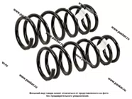 Пружина подвески Nissan Almera II N16E ФОБОС задняя 00-11 59007 [упаковка 2 шт.]|Код 59960