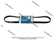 Ремень генератора Daewoo Nexia 8-ми кл с ГУР 5PK975 BOSCH 813|Код 61832