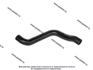 Патрубок радиатора 1118 Калина верхний ВПТ|Код 62147