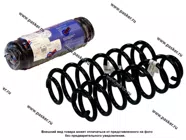 Пружина подвески Chery Omoda C5 T19 ФОБОС задняя 4*2 10105 [упаковка 2 шт.]|Код 65116