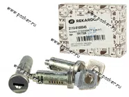 Личинки 2110 Рекардо RR17310|Код 66778