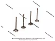 Клапан выпускной 2101 LADA Image STANDARD [упаковка 4 шт.]|Код 69848