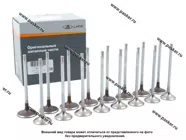 Клапана LADA Vesta  Xray LADA Image дв 21179 1.8L 21177100701086|Код 69862