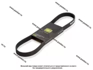 Ремень поликлиновой 6PK923 TRIALLI|Код 72345