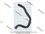 Патрубок радиатора 2190 KRAFT нижний KT 885866|Код 72546