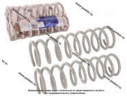 Пружина подвески 2120 Надежда ФОБОС задняя 27802 [упаковка 2 шт.]|Код 27802
