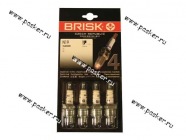 Свечи BRISK Волга N19|Код 31573