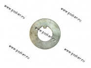 Шайба упорная подшипника передней ступицы Волга Газель Соболь 24-3103030 [упаковка 5 шт.]|Код 33252