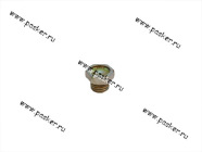 Пробка сливная бензобака латунного радиатора ВАЗ 2101 М10х1,25 [упаковка 10 шт.]|Код 45138