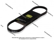 Ремень генератора 2123 Chevy Niva TRIALLI с A/C 4PK810|Код 46145