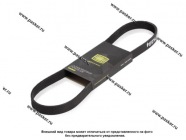 Ремень генератора 1118 Калина TRIALLI 6PK884|Код 46156