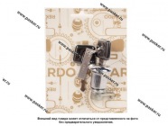 Личинка Газель Next двери левой Рекардо|Код 47654