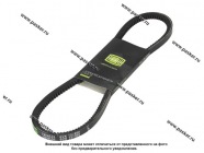 Ремень генератора Газель Бизнес TRIALLI УМЗ4216 зубчатый AVX13X900|Код 52353