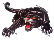 Наклейка Пантера 25х34см|Код 57016