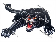 Наклейка Пантера 35х50см|Код 57017