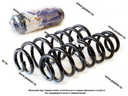 Пружина подвески Volkswagen Tiguan ФОБОС задняя 2008-16 38200 [упаковка 2 шт.]|Код 59234