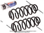 Пружина подвески Ford Fusion ФОБОС задняя 53245 [упаковка 2 шт.]|Код 59513