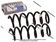 Пружина подвески LADA XRAY ФОБОС задняя усиленная 38169 [упаковка 2 шт.]|Код 59712