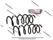 Пружина подвески Renault Duster ФОБОС передняя усил. дв 1.6 32032 [упаковка 2 шт.]|Код 59732
