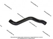 Патрубок радиатора 1118 Калина верхний ВПТ|Код 62147