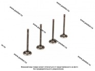 Клапан выпускной 2101 LADA Image [упаковка 4 шт.]|Код 69848